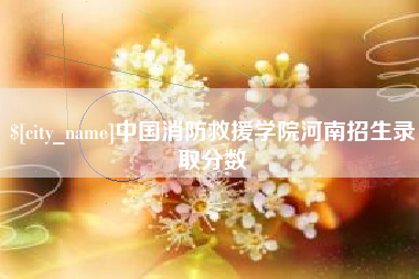 中国澳门中国消防救援学院河南招生录取分数
