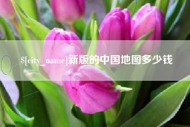 中国澳门新版的中国地图多少钱