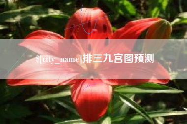 中国澳门排三九宫图预测