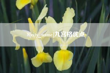 中国澳门九宫格优点