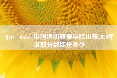 中国澳门中国消防救援学院山东2020年录取分数线是多少