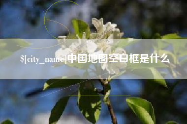 中国澳门中国地图空白框是什么