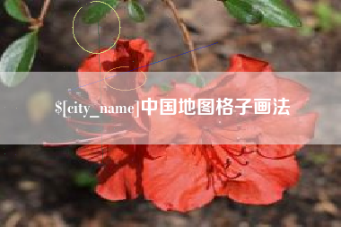 中国澳门中国地图格子画法