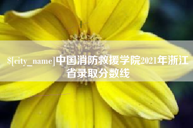 中国澳门中国消防救援学院2021年浙江省录取分数线