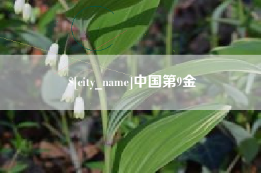 中国澳门中国第9金