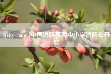中国澳门中国消防官网中小学消防公开课