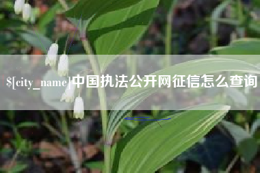 中国澳门中国执法公开网征信怎么查询