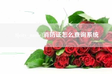 中国澳门消防证怎么查询系统