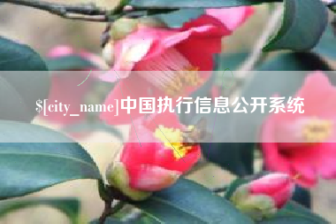 中国澳门中国执行信息公开系统