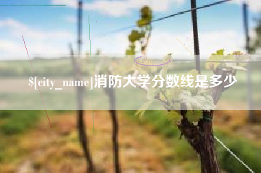 中国澳门消防大学分数线是多少