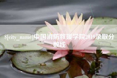 中国澳门中国消防救援学院2019录取分数线