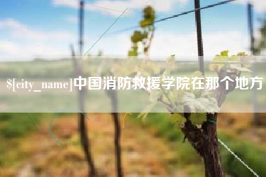中国澳门中国消防救援学院在那个地方