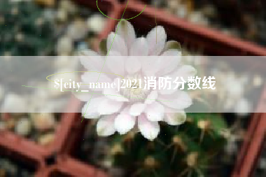 中国澳门2021消防分数线
