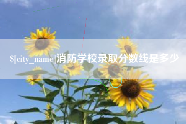 中国澳门消防学校录取分数线是多少