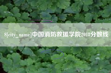 中国澳门中国消防救援学院2018分数线