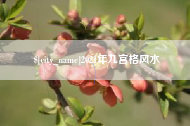 中国澳门2021年九宫格风水