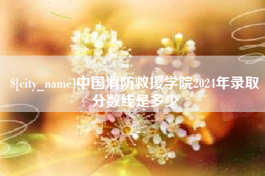 中国澳门中国消防救援学院2024年录取分数线是多少
