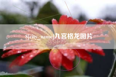 中国澳门九宫格龙图片