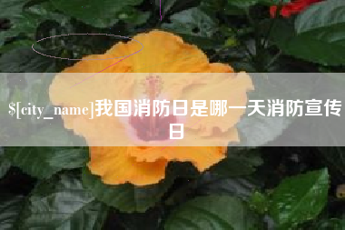 中国澳门我国消防日是哪一天消防宣传日