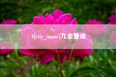 中国澳门九金是谁