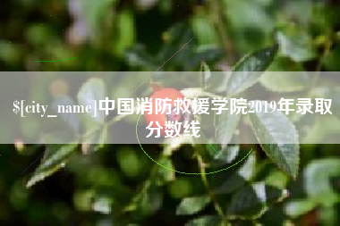 中国澳门中国消防救援学院2019年录取分数线