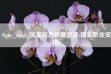 中国澳门国家应急救援员证(国家职业资格)