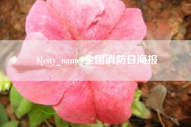 中国澳门全国消防日海报