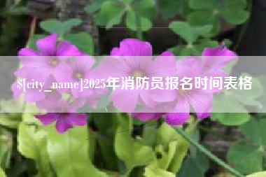 中国澳门2025年消防员报名时间表格