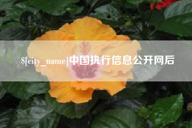 中国澳门中国执行信息公开网后