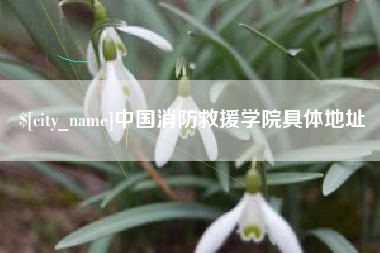 中国澳门中国消防救援学院具体地址