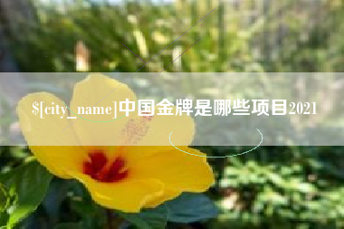中国澳门中国金牌是哪些项目2021