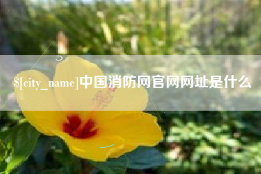中国澳门中国消防网官网网址是什么