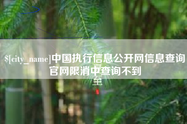 中国澳门中国执行信息公开网信息查询官网限消中查询不到