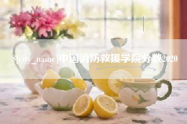 中国澳门中国消防救援学院分数2020