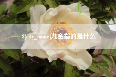 中国澳门九金指的是什么
