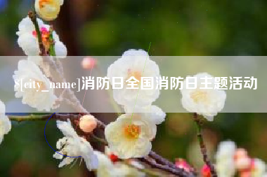 中国澳门消防日全国消防日主题活动