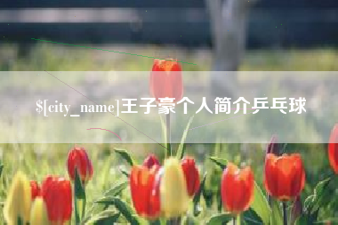 中国澳门王子豪个人简介乒乓球