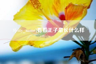 中国澳门看看王子豪长什么样
