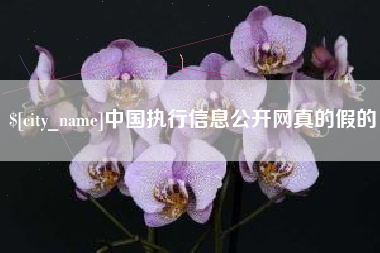 中国澳门中国执行信息公开网真的假的