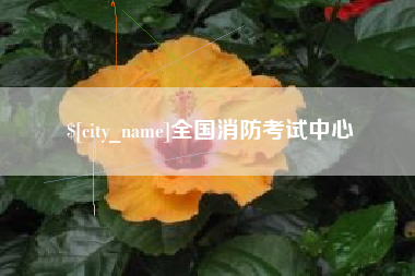 中国澳门全国消防考试中心
