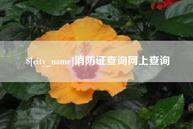 中国澳门消防证查询网上查询