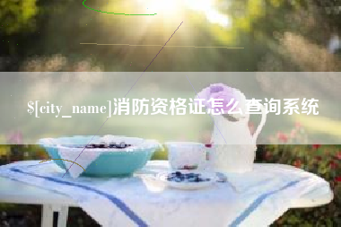 中国澳门消防资格证怎么查询系统