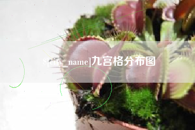 中国澳门九宫格分布图