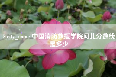 中国澳门中国消防救援学院河北分数线是多少