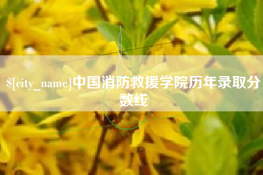 中国澳门中国消防救援学院历年录取分数线
