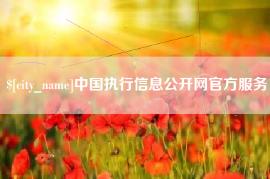 中国澳门中国执行信息公开网官方服务