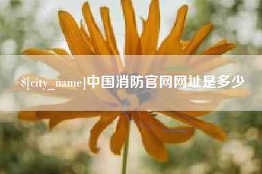 中国澳门中国消防官网网址是多少