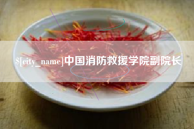 中国澳门中国消防救援学院副院长