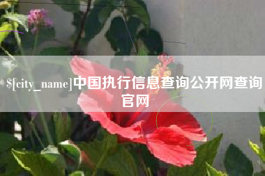 中国澳门中国执行信息查询公开网查询官网