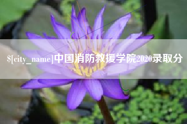 中国澳门中国消防救援学院2020录取分